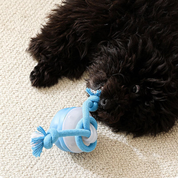Sakerplus® Interactive Smart Rolling Pet Ball
