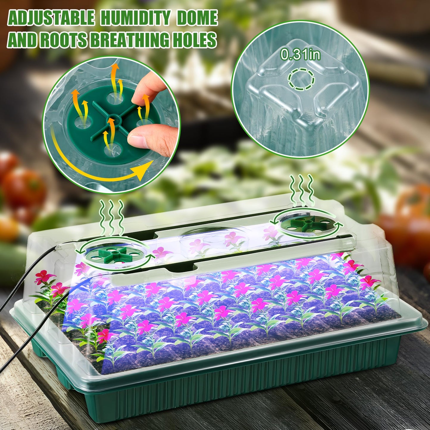 Sakerplus 2 Pack Seed Starter Tray with Grow Light