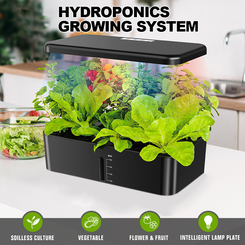 Sakerplus Hydroponics Growing System